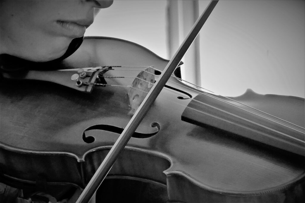 violin, musical instrument, music-2424958.jpg